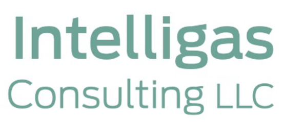 Intelligas Consulting LLC Logo